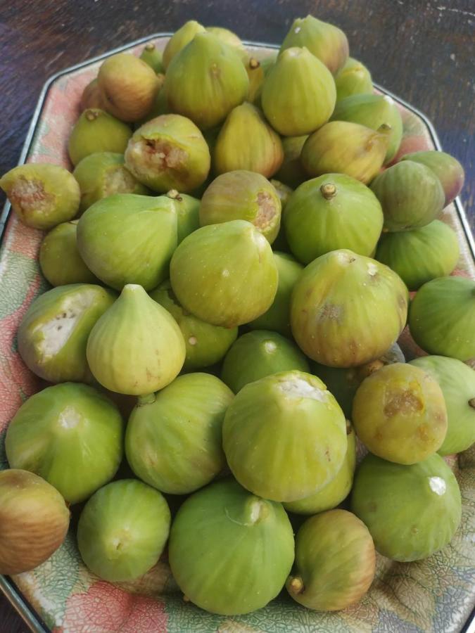 Leodi Place Kipseli  Luaran gambar